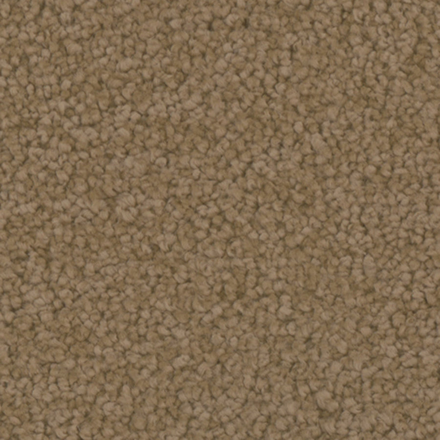 Tarkett Providence Treasure carpet swatch