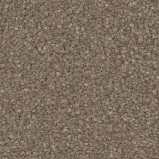 Tarkett Providence Village carpet swatch