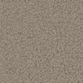 Tarkett Providence Stable carpet swatch