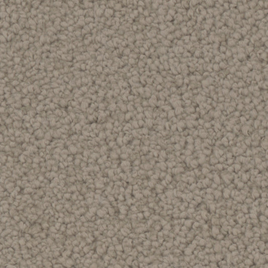 Tarkett Providence Stable carpet swatch