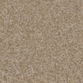 Tarkett Providence Cottage carpet swatch