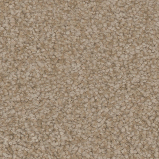 Tarkett Providence Cottage carpet swatch