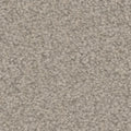 Tarkett Providence Haven carpet swatch