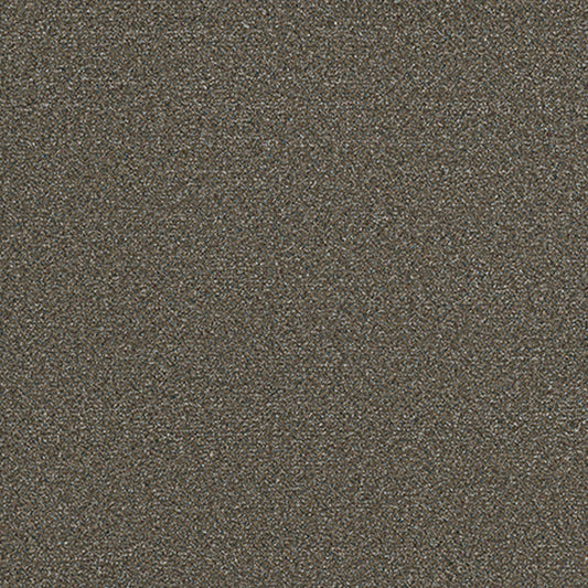 Tarkett Refine Fancy carpet swatch