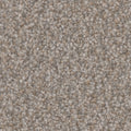 Tarkett Riviera Exclusive carpet swatch