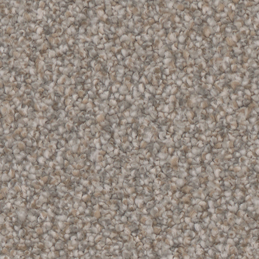 Tarkett Riviera Exclusive carpet swatch