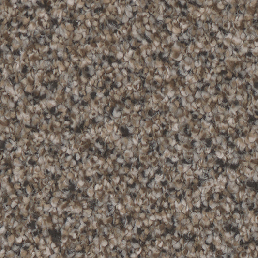 Tarkett Riviera Stately carpet swatch
