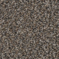 Tarkett Riviera Ritzy carpet swatch
