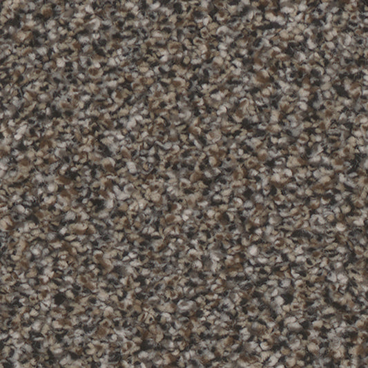 Tarkett Riviera Ritzy carpet swatch