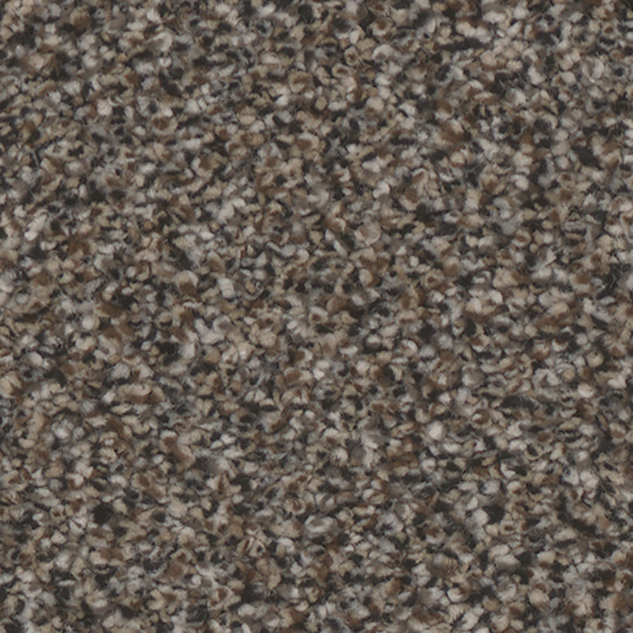 Tarkett Riviera Ritzy carpet swatch