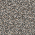 Tarkett Riviera Epic carpet swatch