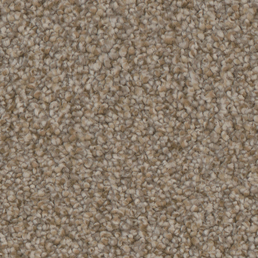 Tarkett Summerland Lavish carpet swatch