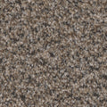 Tarkett Summerland Stately carpet swatch