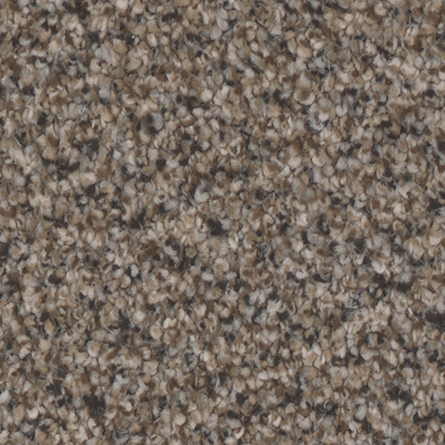 Tarkett Summerland Stately carpet swatch