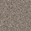 Tarkett Summerland Chic carpet swatch