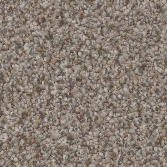 Tarkett Summerland Chic carpet swatch