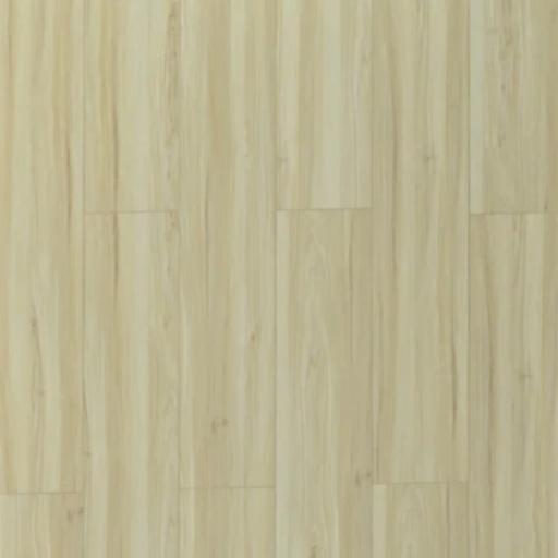 Toucan - TFSPC - 611-F - Vienna