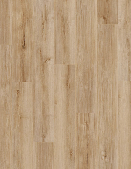 COREtec - Pro Enhanced - Lucent Oak