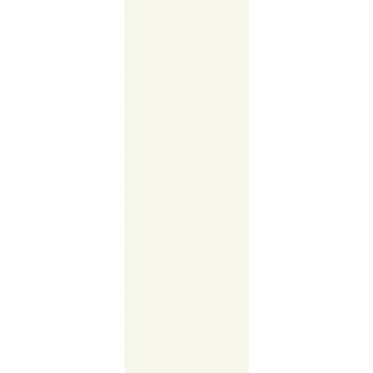 OLYMPIA TILE + STONE - Eclettica Series - Glazed Wall Tile - White - 16" x 48"