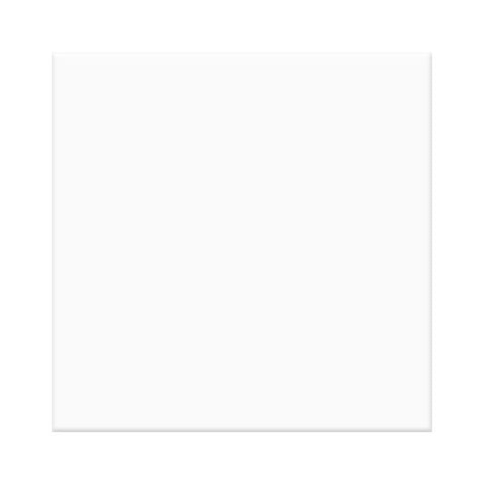 OLYMPIA TILE + STONE - Lily Series - Ceramic Tile - White - 12" x 12"