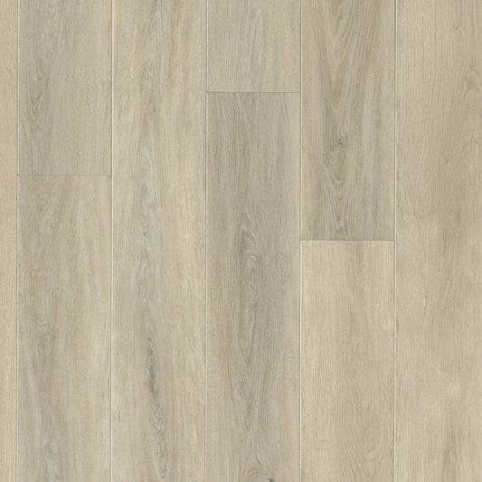 MSI - Wayne Parc™ Reserve Collection - Waldron - 9” x 72”