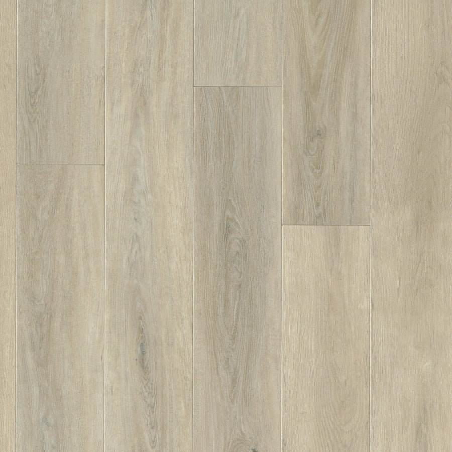 MSI - Wayne Parc™ Reserve Collection - Waldron - 9” x 72”