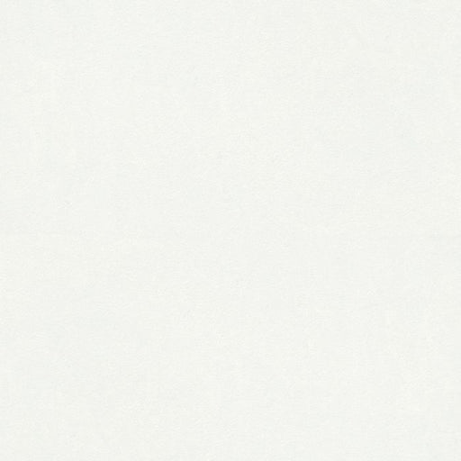 OLYMPIA TILE + STONE - Unicolour HV Series - Porcelain Tile - White - 24" x 24"