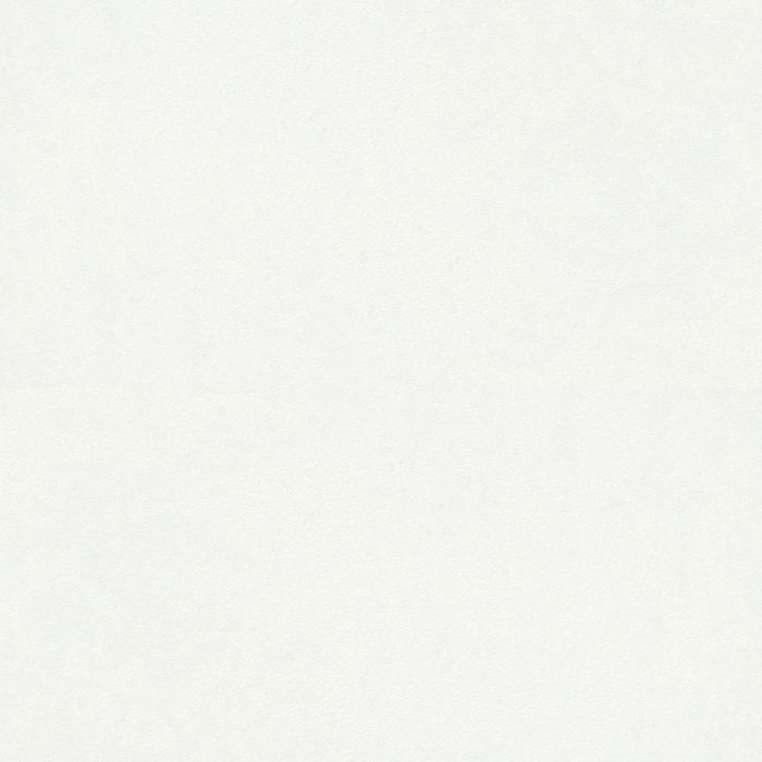 OLYMPIA TILE + STONE - Unicolour HV Series - Porcelain Tile - White - 24" x 24"