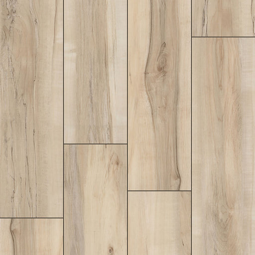 MSI Surfaces - XL Cyrus® Collection - Akadia