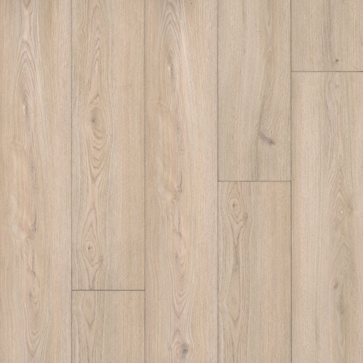 MSI Surfaces - XL Cyrus® Collection - Austell Grove