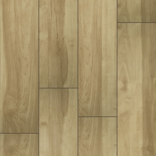 MSI Surfaces - XL Cyrus® Collection - Brookline