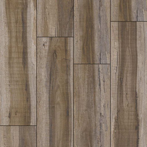 MSI Surfaces - XL Cyrus® Collection - Exotika