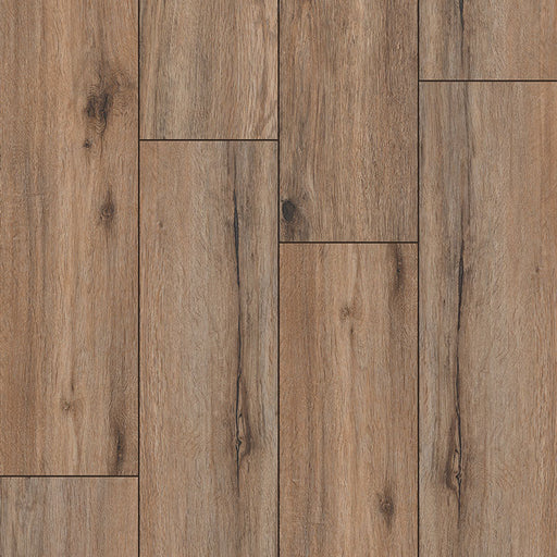 MSI Surfaces - XL Cyrus® Collection - Fauna