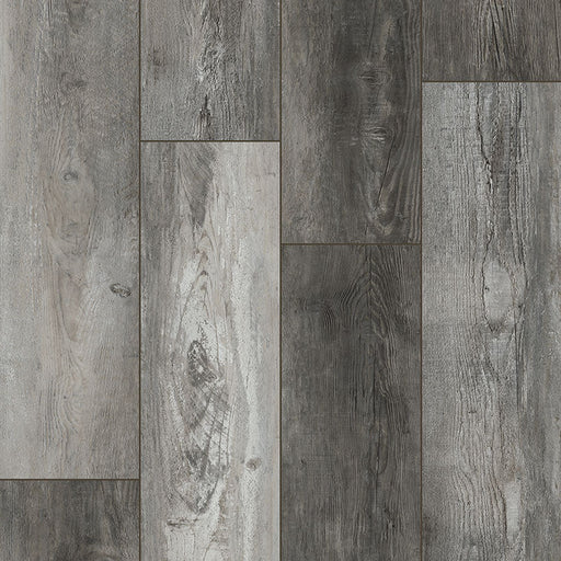 MSI Surfaces - XL Cyrus® Collection - Boswell