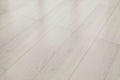 InHaus - Lamdura - Visions Collection - Darwin