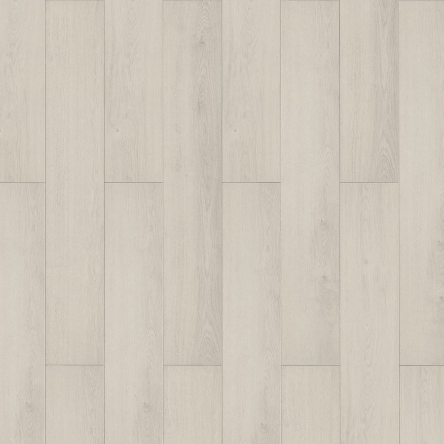 InHaus - Lamdura - Visions Collection - Darwin