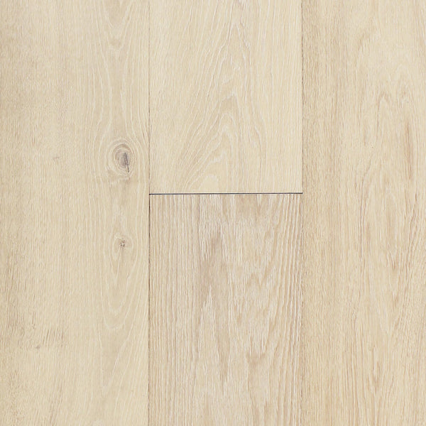 PRAVADA - Canvas Collection - Aura