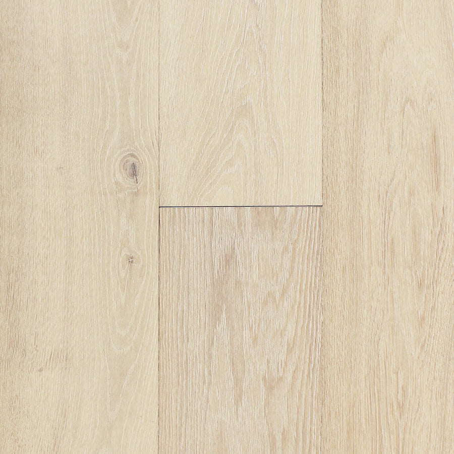 PRAVADA - Canvas Collection - Aura