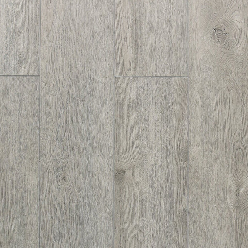 TURION - Genesis Collection - Alderman