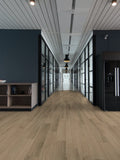 Harbinger - Acoustic Click - Engineered Rigid Vinyl Plank - Alexandria