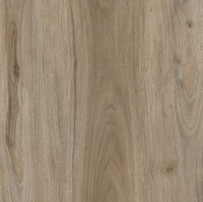 Goodfellow - Rocky Mountain Collection - Athabasca