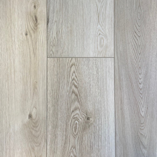 Simba - Galaxy Collection - Apollo