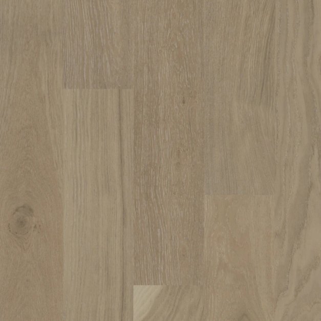BIYORK - Nouveau 8 Collection - Barely Beige