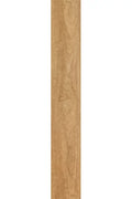 Harbinger - Contract Series - Bonsai Maple