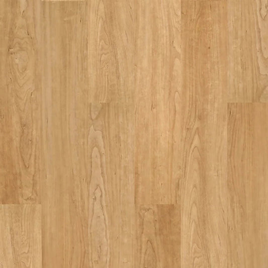 Harbinger - Contract Series - Bonsai Maple