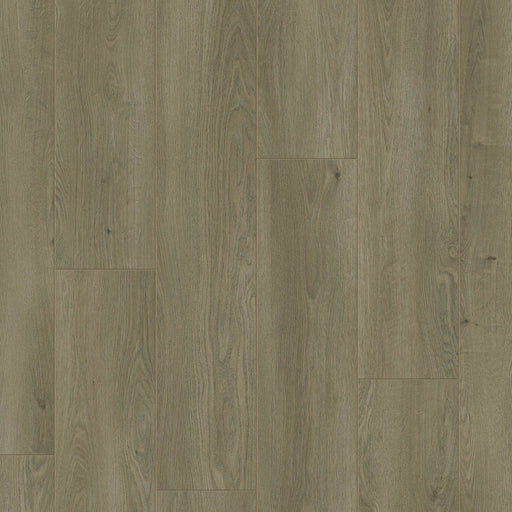 TORLYS - Lexington W Collection - Brussels Oak