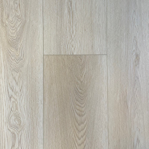 Simba - Galaxy Collection - Castor