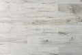 TURION - Mystique Collection - Thistle
