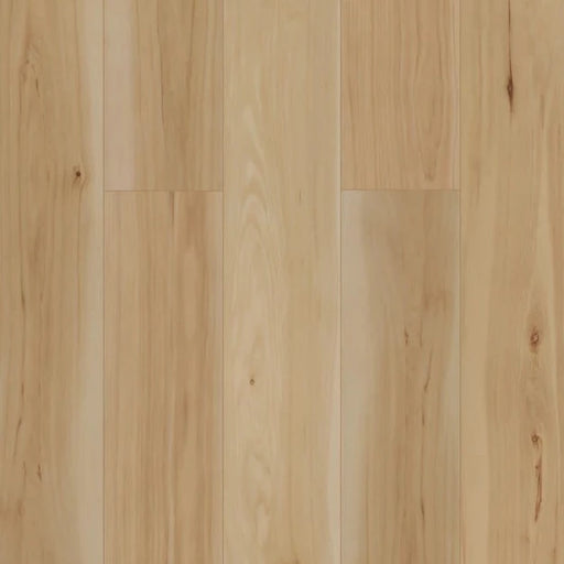 BIYORK - HydroGen 7 - Early Dawn