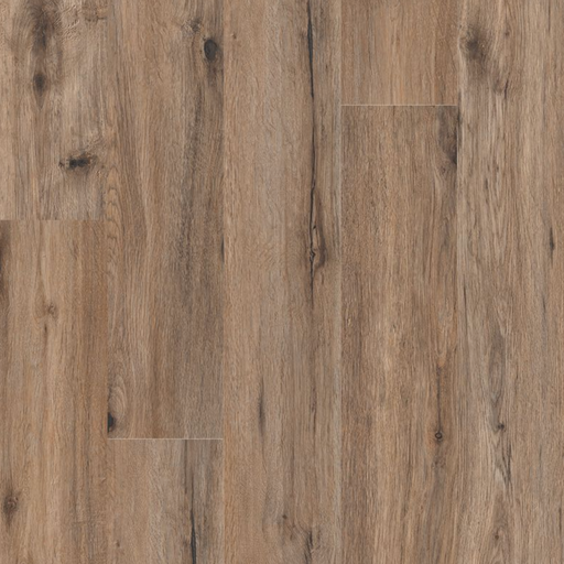 MSI Surfaces - Cyrus Collection - Fauna